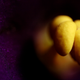 Illustration for article titled Shooting Challenge: Macro Gallery 2